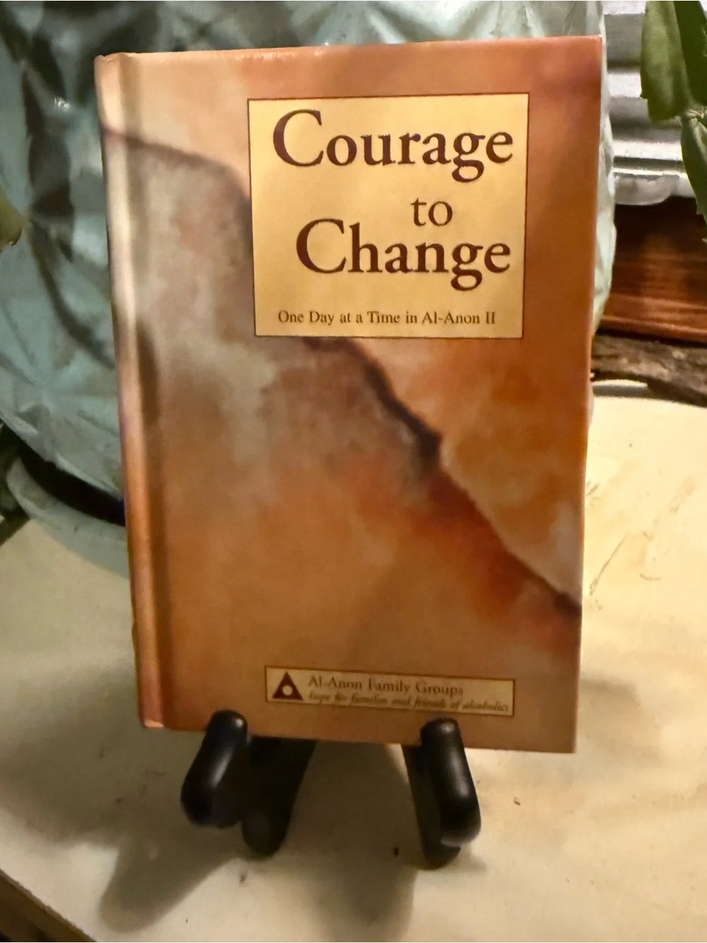 Courage to Change Book - Daily Meditation